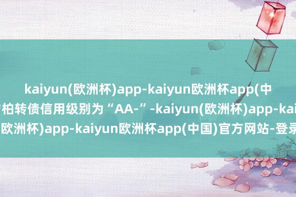 kaiyun(欧洲杯)app-kaiyun欧洲杯app(中国)官方网站-登录入口宏柏转债信用级别为“AA-”-kaiyun(欧洲杯)app-kaiyun欧洲杯app(中国)官方网站-登录入口