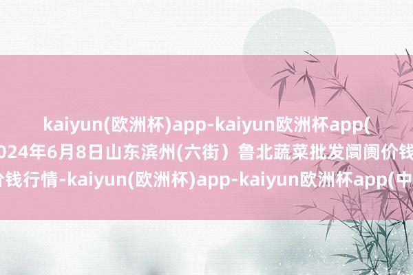 kaiyun(欧洲杯)app-kaiyun欧洲杯app(中国)官方网站-登录入口2024年6月8日山东滨州(六街）鲁北蔬菜批发阛阓价钱行情-kaiyun(欧洲杯)app-kaiyun欧洲杯app(中国)官方网站-登录入口