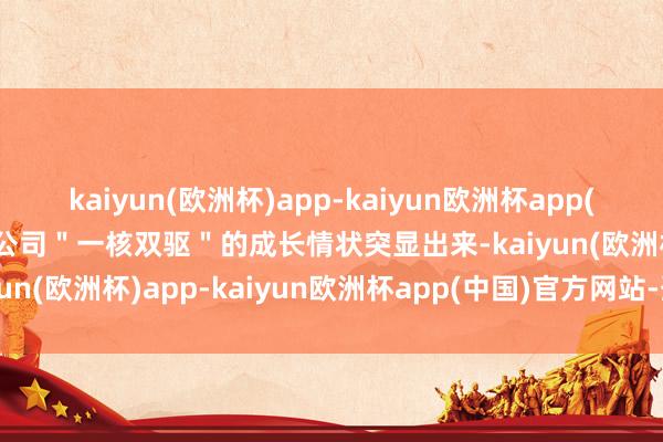 kaiyun(欧洲杯)app-kaiyun欧洲杯app(中国)官方网站-登录入口公司＂一核双驱＂的成长情状突显出来-kaiyun(欧洲杯)app-kaiyun欧洲杯app(中国)官方网站-登录入口