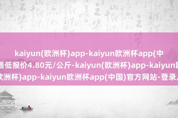 kaiyun(欧洲杯)app-kaiyun欧洲杯app(中国)官方网站-登录入口最低报价4.80元/公斤-kaiyun(欧洲杯)app-kaiyun欧洲杯app(中国)官方网站-登录入口